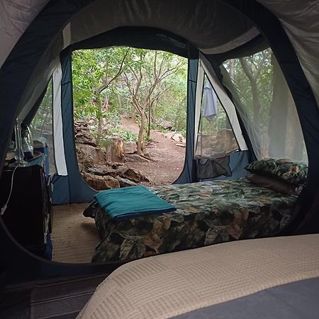 Adorable Unique Guest House - African Bush Feel Kalkheuvel Exterior foto